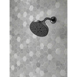 Universal Showering Components Shower Arm & Flange