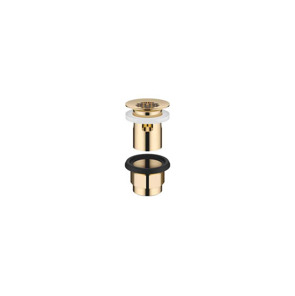 Dornbracht - European Grid Drain 1 1/4'' In Durabrass - Durabrass