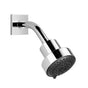 Dornbracht - Showerhead In Dark Platinum Matte - Dark platinum matte