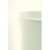 White Tulip Freestanding Washbasin White