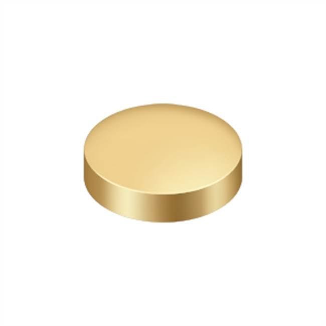 Deltana - Screw Cover, Round, Flat, 1'' Diam - PVD Polished Brass