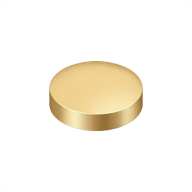 Deltana - Screw Cover, Round, Flat, 1'' Diam - PVD Polished Brass