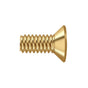 Deltana - Machine Screw, SB, No.12 x 1/2'' - PVD Polished Brass