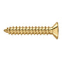 Deltana - Wood Screw, SB, No.12 x 1-1/4'' - PVD Polished Brass