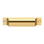 Deltana - Rectangular Shell Pull 4'' - PVD Polished Brass