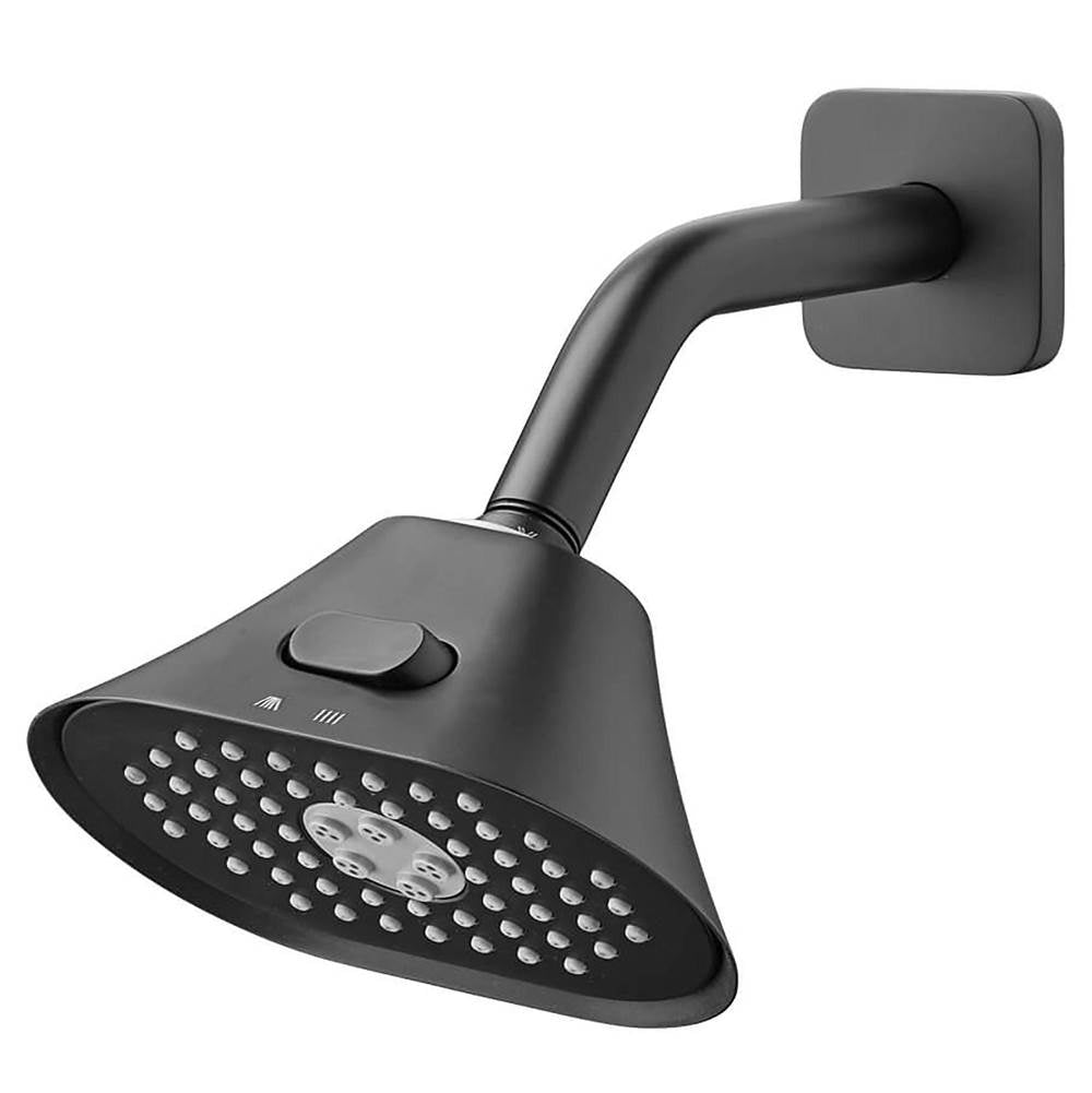 Equility 2-Function 6 in. Oval Showerhead