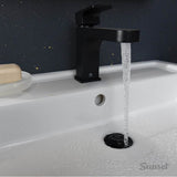 Equility Single Handle Bathroom Faucet with Lever Handle
