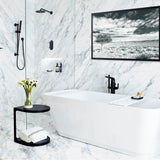 DXV Modulus Personal Hand Shower Set with Adjustable 24 in. Slide Bar