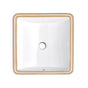 DXV - Webster Square Sink - Canvas White