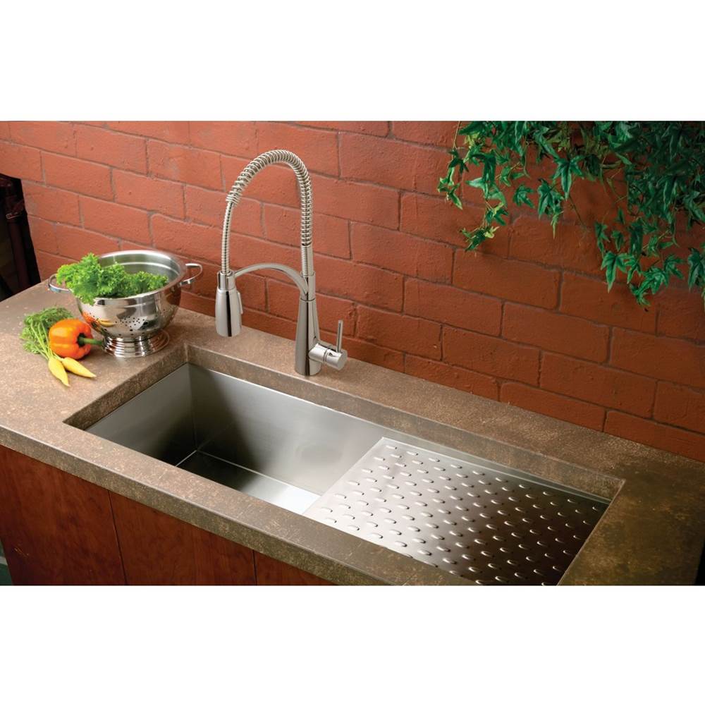 SGL LVR PRE-RINSE FCT CR