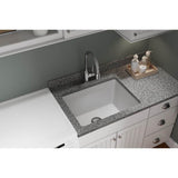 Quartz Classic 25'' x 18-1/2'' x 11-13/16'' Undermount Laundry Sink with Perfect Drain, Black