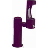 Elkay - Halsey Taylor Endura II Outdoor HydroBoost Bottle Filling Station, Pedestal Non-Filtered Non-Refrigerated FR, Purple - Purple