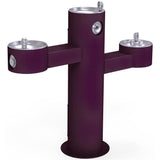 Elkay - Halsey Taylor Endura II Tubular Outdoor Fountain, Tri-Level Pedestal Non-Filtered Non-Refrigerated, Purple - Purple