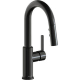 Elkay - SGL LVR PD BAR FCT BK - Black Stainless