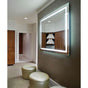 Electric Mirror - Integrity 54w x 42h Lighted Mirror with Ava