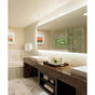 Electric Mirror - Silhouette 60w x 42h with 15'' TV