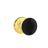 Emtek - Privacy, Watford Rosette, Ebony Porcelain Knob, US3 - Polished Brass