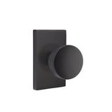 Concealed Fastener Passage, Urban Modern Rosette, Laurent Round Knob, US10B