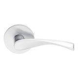 Concealed, Privacy, Disk Rosette, Triton Lever, US10B