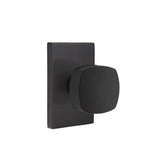 Concealed Fastener Privacy, Urban Modern Rosette, Freestone Square Knob, US10B