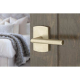 Concealed, Passage, No.3 Rosette, Mariposa Lever, FB