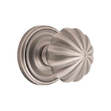 Concealed, Privacy, Regular Rosette, Melon Knob, US14