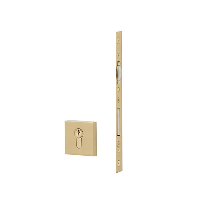 Emtek - European Mortise Deadbolt with Integrated Roller Latch, Square 2-1/4'' x 2-1/4'', Keyed with Euro Profile Cylinder SSPVD4 - Satin Brass Stainless Steel