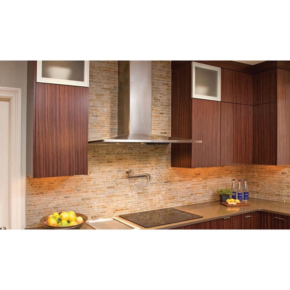 Pyramid Shape Wall Hood with 600 cfm Class Blower, 30'' W