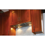 Insert Hood with Vam Blower (600 395 295), 35'' W