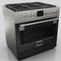 Fulgor Milano - 36'' Pro Range Door Color Kit - Glossy Black - Glossy Black