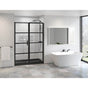 Fleurco - LATITUDE PIVOT IN-LINE 60''W/79''H/8MM/MAT BLK/CLR/BLK STRIPE - Matte Black