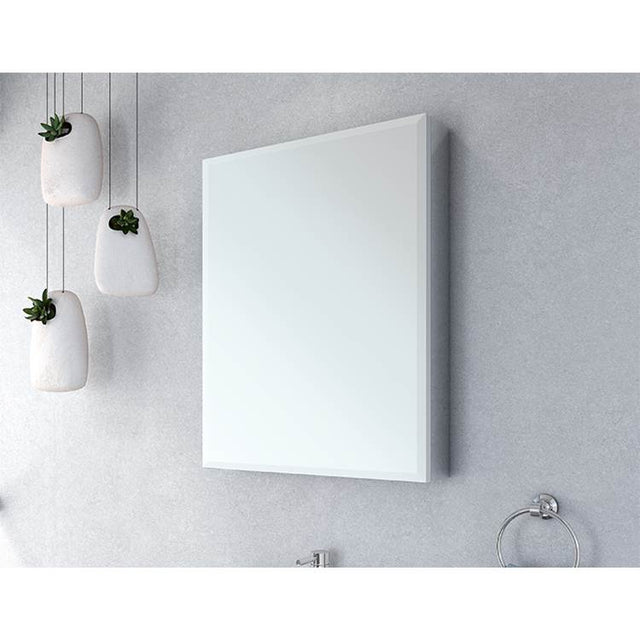 Fleurco - MEDICINE CABINET/SINGLE/1/2''BEVEL/15''X36'' - Chrome