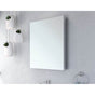 Fleurco - MEDICINE CABINET/SINGLE/FLAT/24''X36'' - Chrome