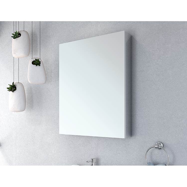 Fleurco - MEDICINE CABINET/SINGLE/FLAT/24''X30'' - Chrome