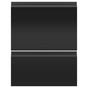 Fisher & Paykel - Matte Black Glass Accessory Doors for Double, Tall, Panel Ready, Recessed Handle