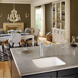 Cisterna 21.62-in. x 17.38-in. White Undermount Single Bowl Fireclay Kitchen Sink, CCK110-19WH