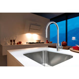Eos Neo 17-in Single Handle Pull-Down Kitchen Faucet in Stainless Steel, EOS-PD-304