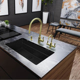 Eos Neo 17-in Single Handle Pull-Down Kitchen Faucet in Gold, EOS-PD-GLD