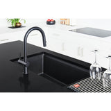 Maris Undermount 31-in x 17.81-in Granite Single Bowl Kitchen Sink in Champagne