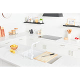 Maris Undermount 33-in x 19.31-in Granite Single Bowl Workcenter Kitchen Sink in Champagne