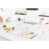 Maris Undermount 33-in x 19.31-in Granite Single Bowl Kitchen Sink in Champagne