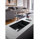 Peak 32.0-in. x 18.8-in. Granite Undermount Double Bowl Kitchen Sink in Champagne