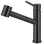 Franke - Steel 9-in Single Handle Pull-Out Kitchen Faucet in Industrial Black, STL-PO-IBK