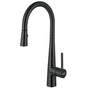Franke - Steel 16.7-in Single Handle Pull-Down Kitchen Faucet in Industrial Black, STL-PR-IBK