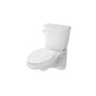 Gerber Plumbing - Maxwell 1.28gpf Wall Hung Back Outlet EL Combo: G0021970 Bowl w/ G0028970 Tank White - White