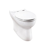 Avalanche CT 1.28gpf ADA Elongated Bowl White