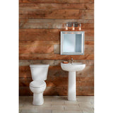Viper Petite 4''CC Ped Lav Combo: G0013564 Lav w/ G0029834 Ped White