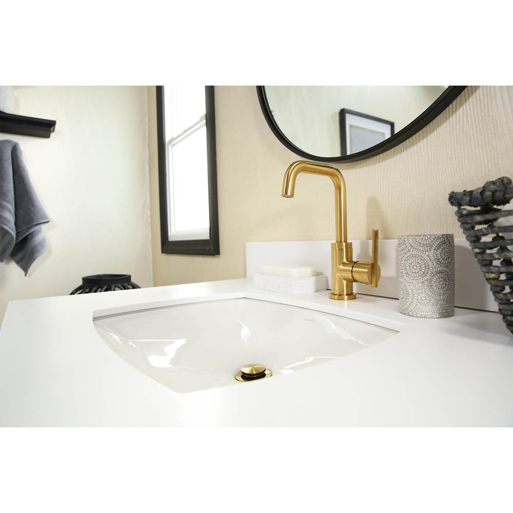 Burr Ridge 17x14 Decorative Undercounter Lav White