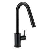Amalfi 1H Pull-Down Kitchen Faucet w/SnapBack Retraction 1.75gpm Chrome
