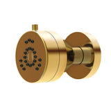 Gerber Plumbing - Parma 2 Function Wall Mount Body Spray 1.5gpm Brushed Bronze - Brushed Bronze
